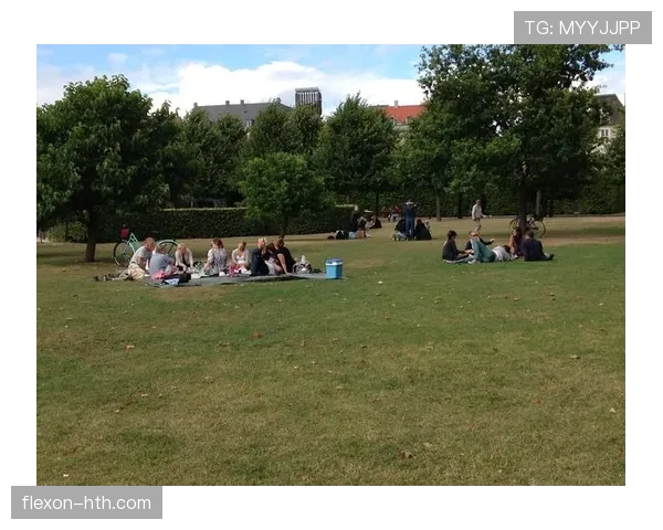 丹麦哥本哈根公园推出全新绿色休闲区,吸引市民积极参与环保活动 丹麦哥本哈根公园推出全新绿色休闲区,吸引市民积极参与环保活动